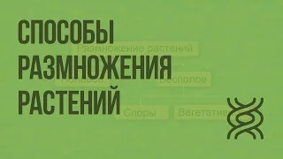 Способы размножения растений. Видеоурок по биологии 6 класс