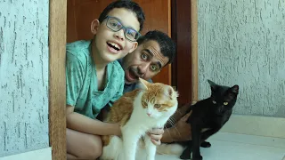 PROCURANDO MEU GATO CASQUINHA  - LUCAS VASCONCELOS