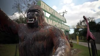 Florida’s Skunk Ape | Daily Planet