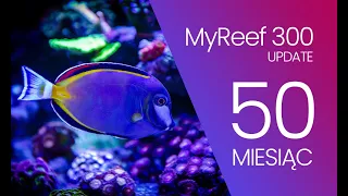 (181) MyReef 300 / Update / 50 miesiąc - Akwarium morskie - Reef aquarium