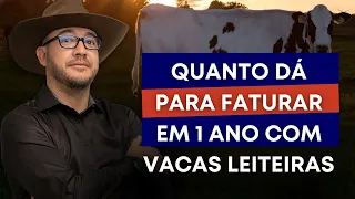 QUANTO DÁ PARA FATURAR COM 10 VACAS | Pecuária Leiteira