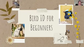 Bird ID for Beginners with RSS facilitator Jessie