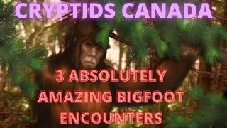 EPISODE 282 3 ABSOLUTELY AMAZING BIGFOOT ENCOUNTERS