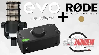 Звуковая карта Audient Evo 4 + микрофон Rode Podmic (полноценное решение для домашней студии)