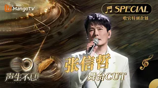 【张信哲舞台CUT】情歌王子深情献唱 总有一首能入你心《声生不息•宝岛季》收官特别企划 | Infinity and Beyond 2023 Jeff Chang CUT | MangoTV