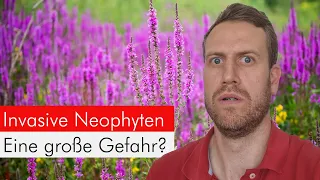 Invasive Neophyten - Falschinfos & Mythen im Faktencheck