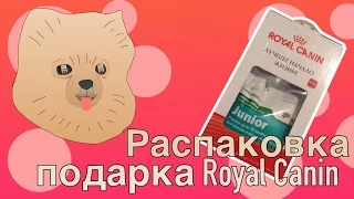 MollyTv | подарок от Royal Canin