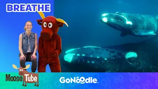 Whale Breath | Meditation For Kids | GoNoodle