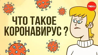 КОРОНАВИРУС / TED ED НА РУССКОМ ЯЗЫКЕ