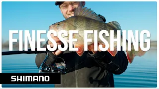 How to fish finesse for BIG perch using Carolina and Ned rig | Shimano Predator