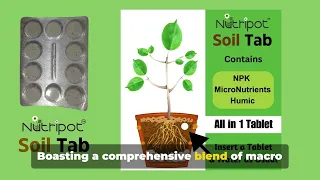 Nutripot Soil Tab: A Tablet that fertilizes your Garden Plants with Balanced mix of nutrients.