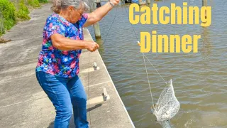 Catching Blue Crabs For Dinner