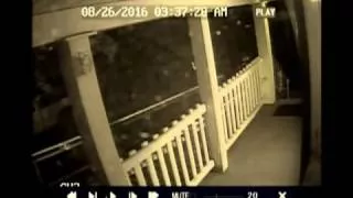 Real Amazing Fairy footage caught on tape?