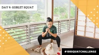 GOBLET SQUAT. DAY 9 // BLOGILATES 100 SQUAT CHALLENGE