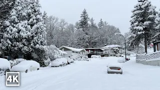 【4K】Snowy Walk in Metro Vancouver | Winter Snow Walk and Snow Footsteps Sound