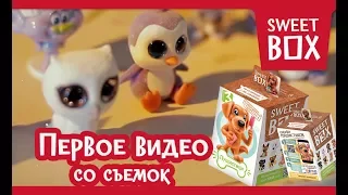 СВИТ БОКС Пушистики. ПЕРВОЕ ВИДЕО со съемок Sweet Box. Все что осталось за кадром