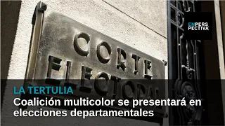 Coalición multicolor se presentará en elecciones departamentales de Montevideo, Salto y Canelones