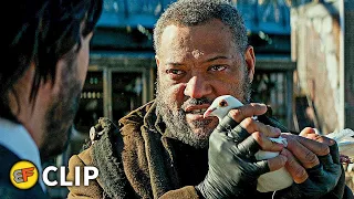 The Bowery King Scene | John Wick Chapter 2 (2017) Movie Clip HD 4K