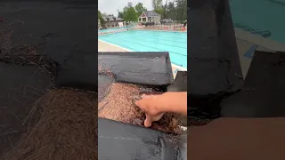 Clogged roof drain pipes getting opened by hand!