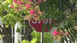 Do Texas homeowners have to clear their property's overgrowth from street signs?