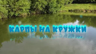 Рыбалка на карпа на кружки, с ночевкой!!! Карпы не дали расслабиться, пришлось за ними погоняться!!!