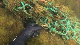 ПОДВОДНЫЙ ПОИСК В СЕВЕРНОЙ РЕКЕ / UNDERWATER SEARCH IN THE RIVER