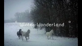 ꙳ Winter Wonderland ꙳ get a snow day subliminal
