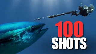 TOP 100 SPEARFISHING SHOTS - Pesca Submarina