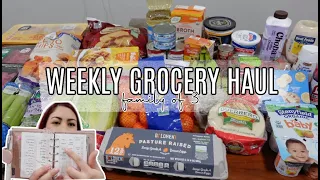 Weekly Grocery Haul & Meal Ideas for the week! | $100 Groceries Budget | ALDI SHOP WITH ME