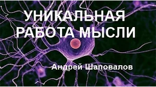 УНИКАЛЬНАЯ РАБОТА МЫСЛИ... Андрей Шаповалов