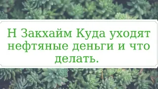 Н Закхайм Куда уходят нефтяные деньги и что делать.