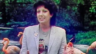 Marie Rottrová & (nejen) plameňáci - Jizva na dlani (klip) (1983)