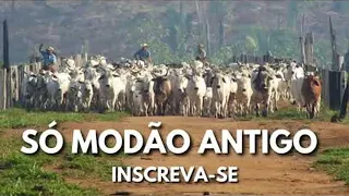 Modão das Antigas Sucessos Sertanejos só Modão de Raiz  #musicamodãosertanejoantigas