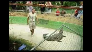 Парк крокодилов Испания, Torremolinos / Crocodile Park Spain