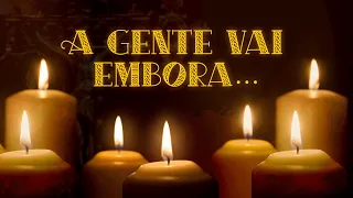 Reflexão do dia: A gente vai embora…