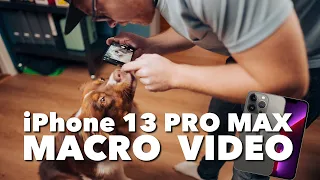 iPhone 13 Pro Max / Macro Video 4K