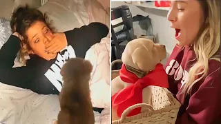 New Puppy Surprise Compilation 2023 | Wholesome Surprise Moments