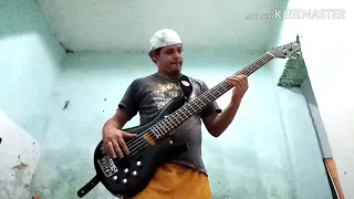 O milionário cover bass