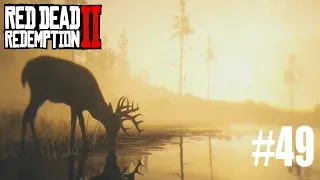 Red Dead Redemption II | Part 49 | That's Murfree Country (PS4)
