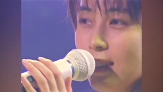 『ZARD 25th Anniversary LIVE "What a beautiful memory"』TV SPOT II