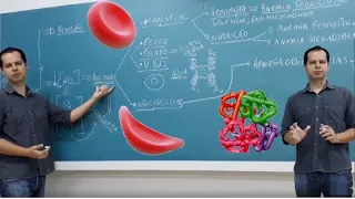 Principais_Anemias_Revisão completa e interpretações clínicas. Tire 10 na avaliação de hematologia