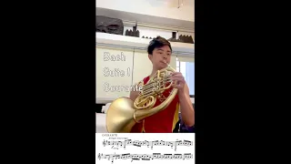 Bach - Cello Suite No.1 - Courante (French horn)