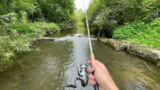 Wild TROUT Fishing with Inline Spinners