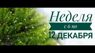 РЫБЫ. ОСНОВНЫЕ СФЕРЫ ЖИЗНИ С 6 ПО 12 ДЕКАБРЯ.