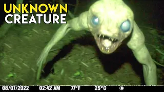 CREEPY UNSEEN Trail Cam Footage