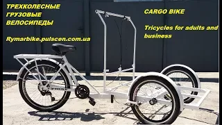 Three-wheeled cargo bike for street food and drink trade, bike, cargobike