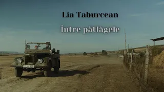 Lia Taburcean - Între pătlăgele