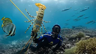 A Day in a Life of a Commercial Lobster Diver