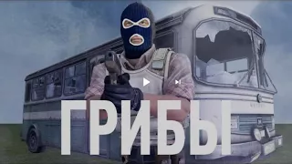 Реакция на песню грибы тает лед CS Go