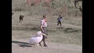 Центрнаучфильм | Слепая птица (1963 год)